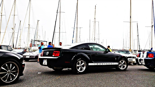 DSC_1363 DSC_1363