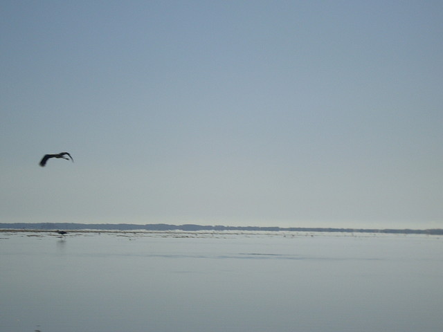 Pesca en Mar Chiquita - 6/11/2011