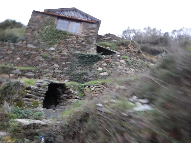 DSCN0323 DSCN0323