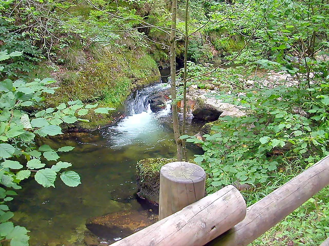 DSCN3747 DSCN3747