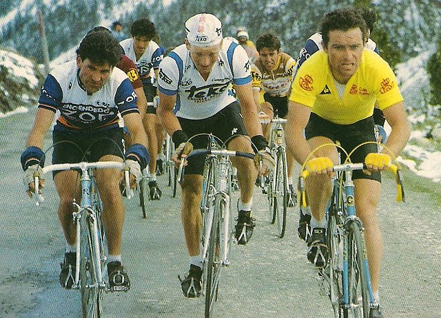 PINO ,HINAULT ,DIETCHEN,1983