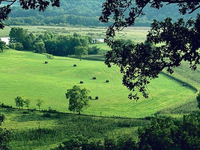 Fertile Farmland, near Natchez Trace Parkway, Tennessee