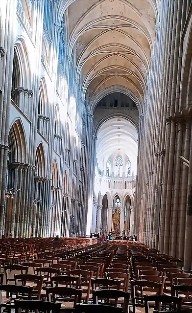 Catedral. Nave Central