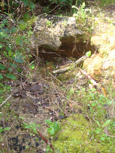 hi-03-Abandono y profanacion tumbas en cem.ingles de B.Vista-Fot.J.Ch.Q.--Marzo 2011.jpg (1)