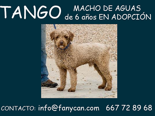 TANGO Palencia