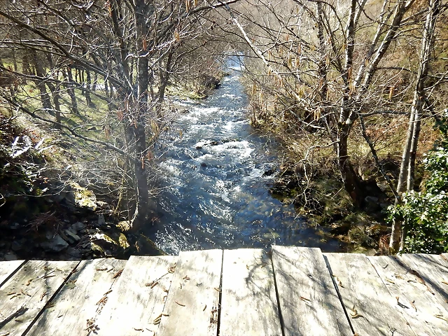 DSCN1522 DSCN1522