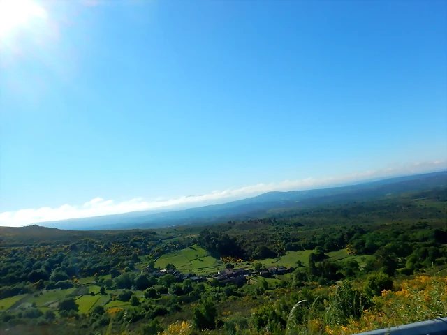 DSCN2079