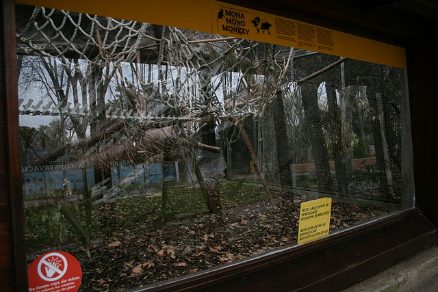 Zoo de Barcelona 28-01-11 007 Zoo de Barcelona 28-01-11 007