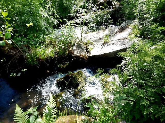 DSCN2471 DSCN2471