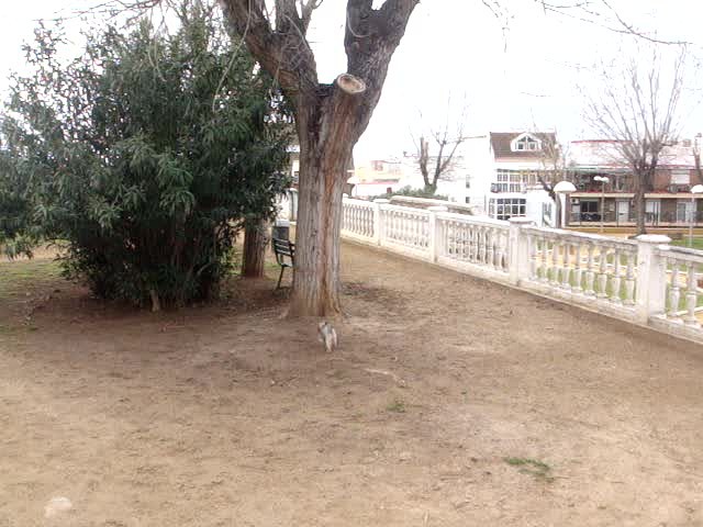 foro-Parque para perros en Huelva-15.02.14-J.Ch.Q 22
