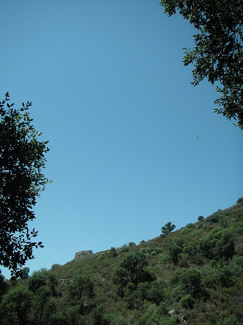 almedijar 075 almedijar 075