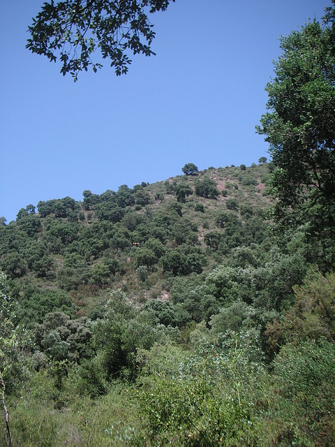 almedijar 104 almedijar 104