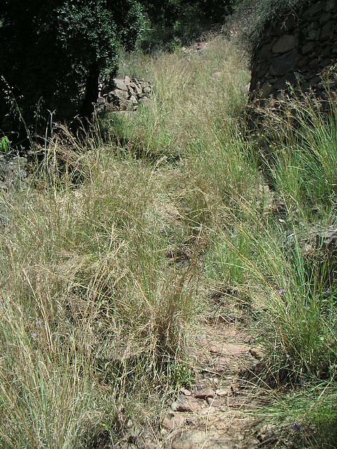 almedijar 073 almedijar 073