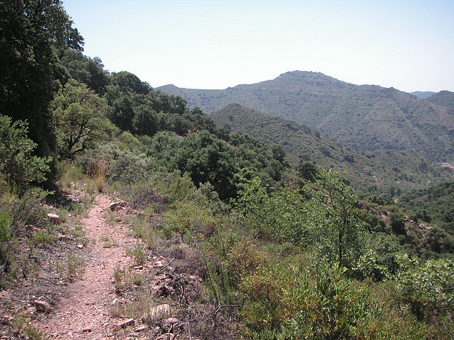 almedijar 078 almedijar 078