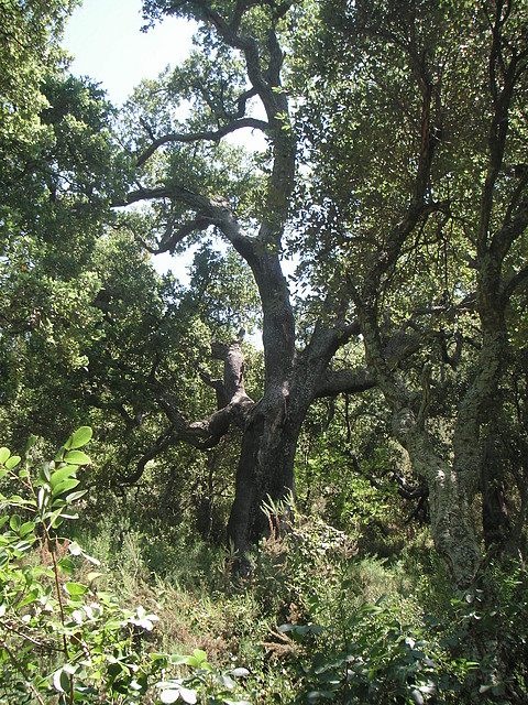 almedijar 102 almedijar 102