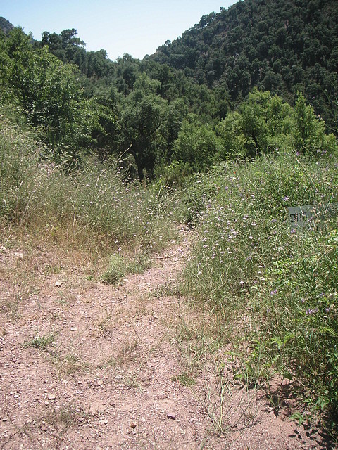 almedijar 099 almedijar 099