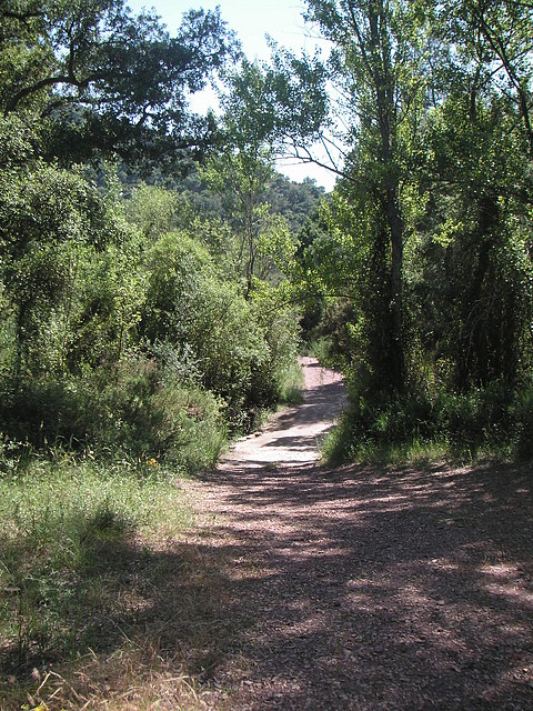 almedijar 110 almedijar 110