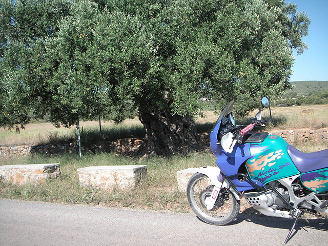 almedijar 045 almedijar 045