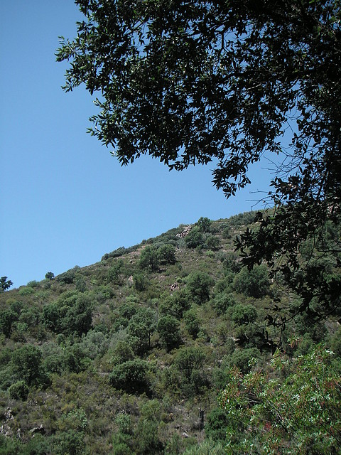 almedijar 074 almedijar 074