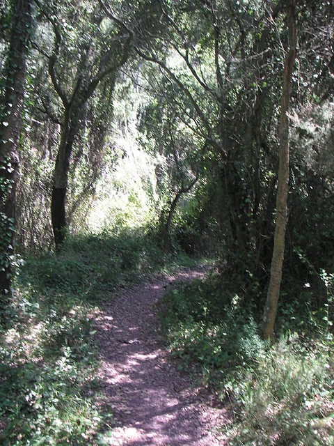 almedijar 107 almedijar 107