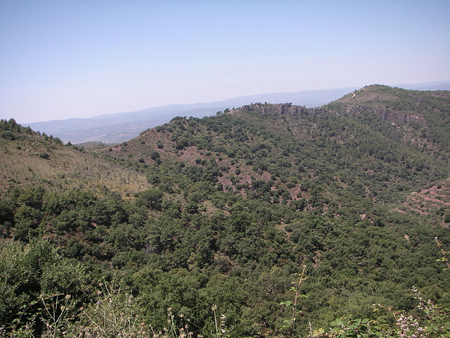 almedijar 084 almedijar 084