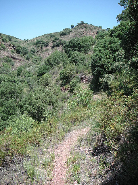 almedijar 079 almedijar 079
