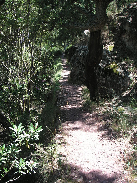 almedijar 109 almedijar 109