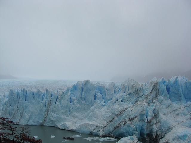 1calafate