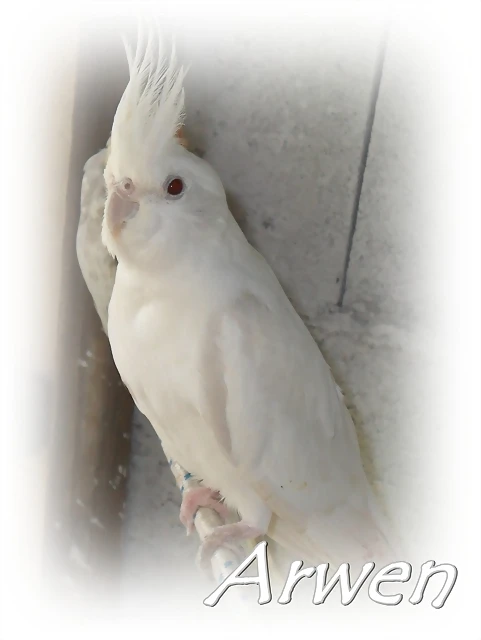 SAM_0414 SAM_0414