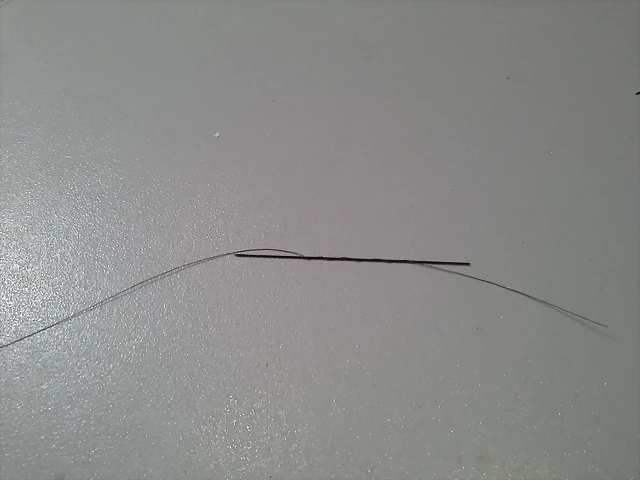 20170111_174431 20170111_174431