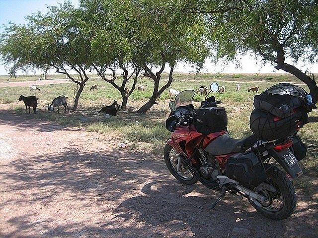 Santiago del Estero_Compitiendo x la sombra