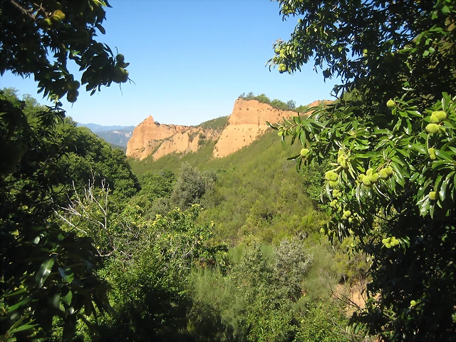 IMG_0185 IMG_0185
