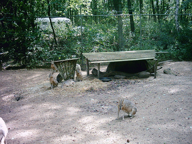 PIC03339 PIC03339