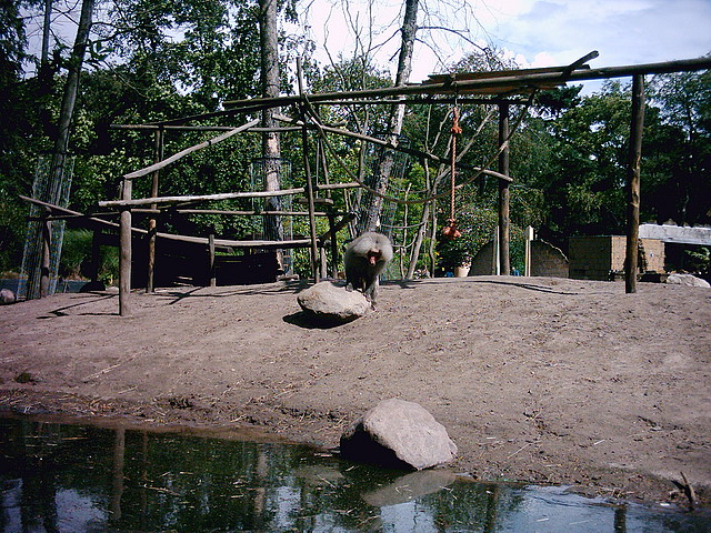 PIC03337 PIC03337