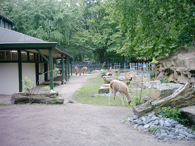PIC03296 PIC03296