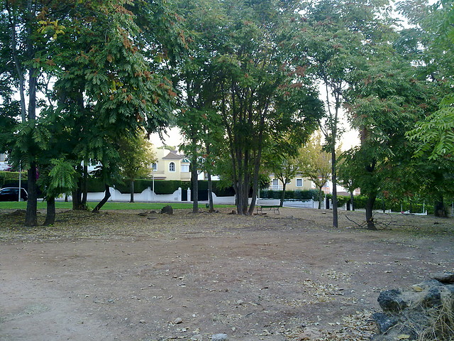 15102011020