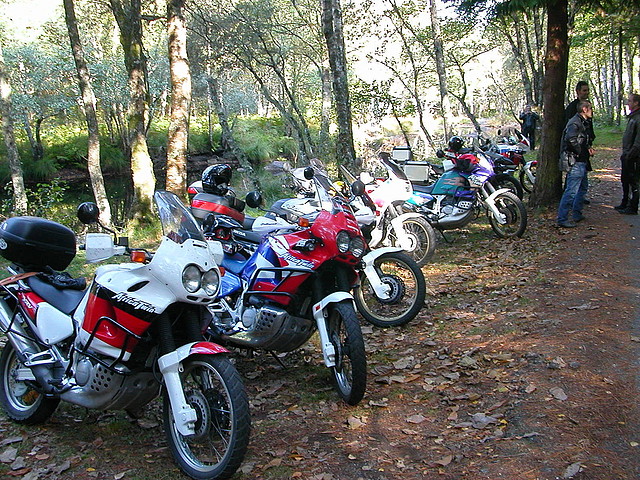 DSCN8070 DSCN8070