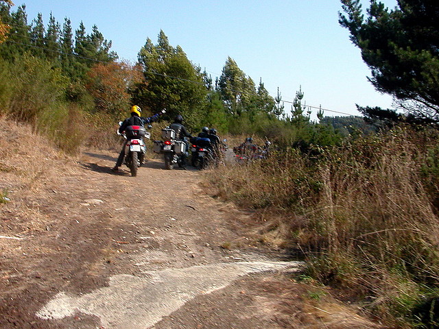 DSCN8105 DSCN8105