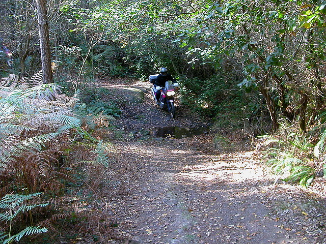 DSCN8095 DSCN8095
