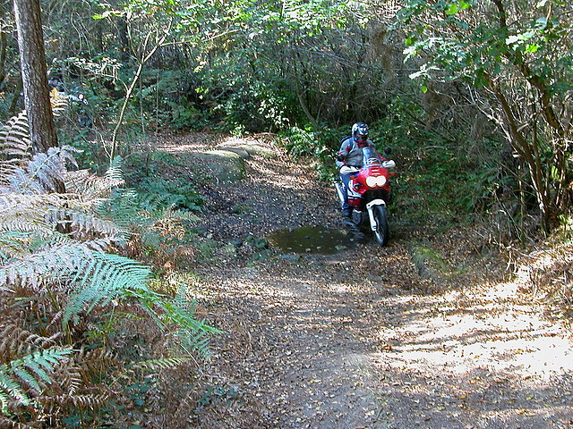 DSCN8096 DSCN8096