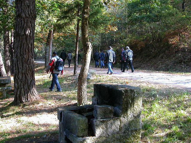 DSCN8075 DSCN8075