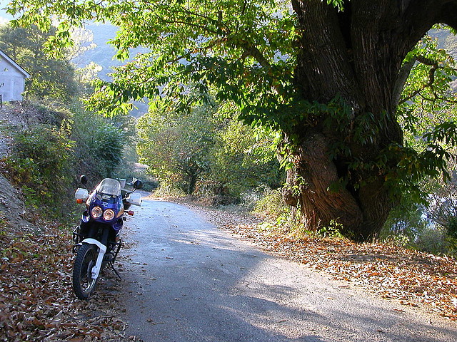 DSCN8173 DSCN8173