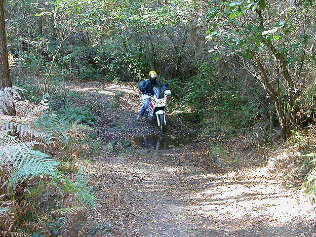 DSCN8098 DSCN8098