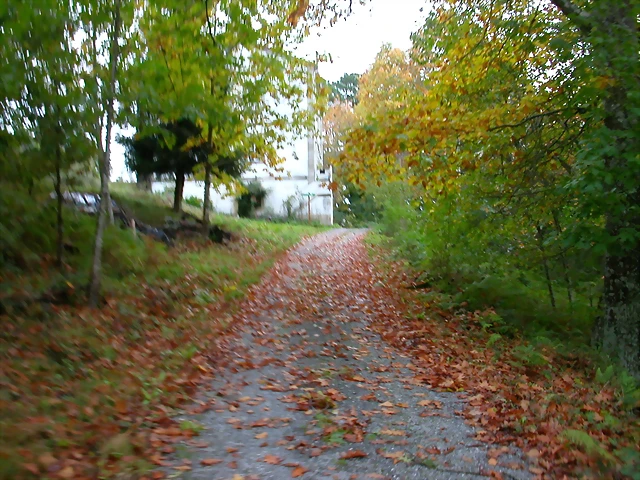 DSCN5810 DSCN5810