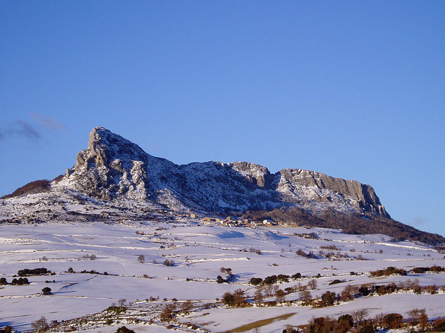 El len dormido