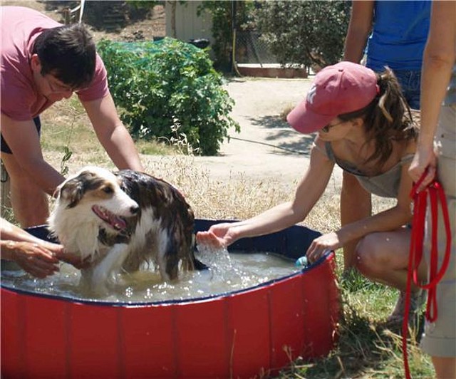 piscina5 piscina5