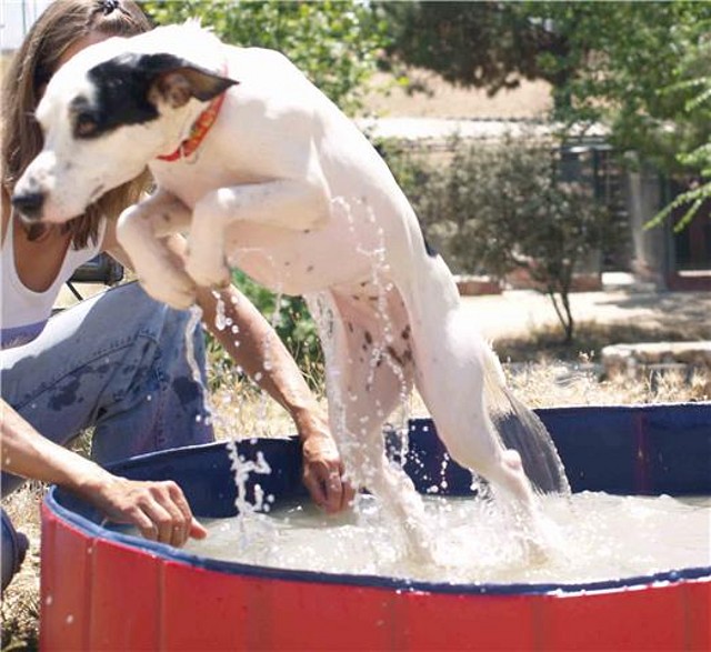 piscina6 piscina6