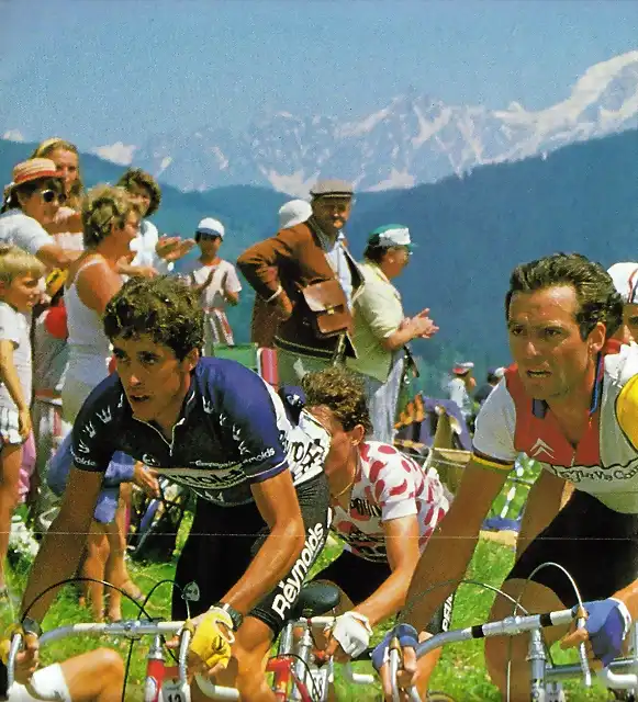 Perico-Tour1984-La Plagne-Hinault-Millar