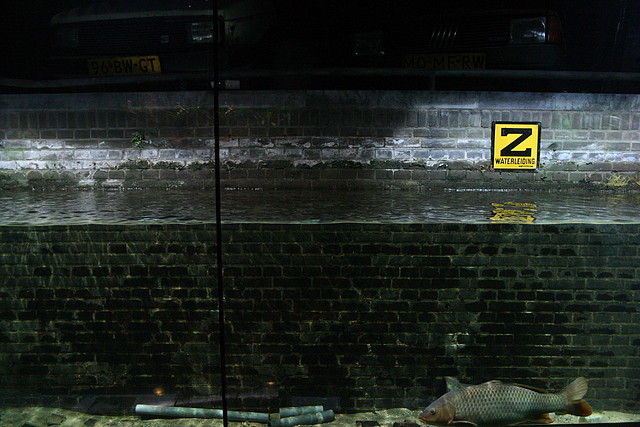 Amsterdam 29-12-2010 1402