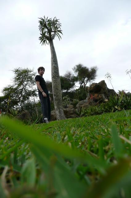 Yo y Pachypodium gigante! x_X!